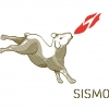 Logo : Sismo