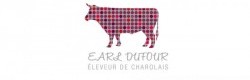 Design logotype